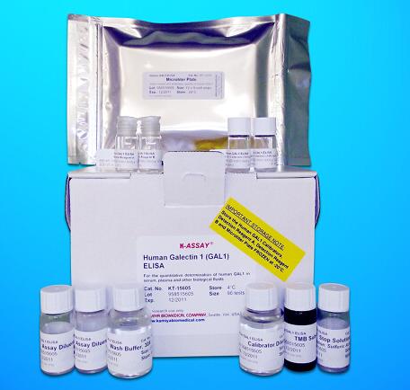 Cofilin 1 Non-Muscle ELISA Kit (CFL1), Human