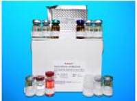 Choline transporter-like protein 3 (SLC44A3) ELISA Kit, Human