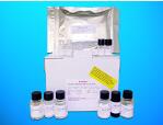 Carboxypeptidase O (CPO) ELISA Kit, Human