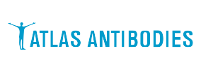 Atlas antibodies特约一级代理