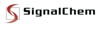 SignalChem大量现货