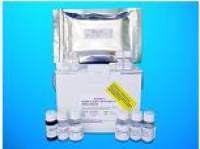 Carboxypeptidase N subunit 2 (CPN2) ELISA Kit, Human