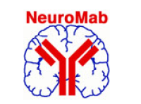 NeuroMab大量现货
