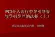 吕树铮：PCI介入治疗中导引导管与导引导丝的选择