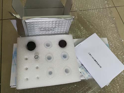 微生物的实验室培养试剂盒