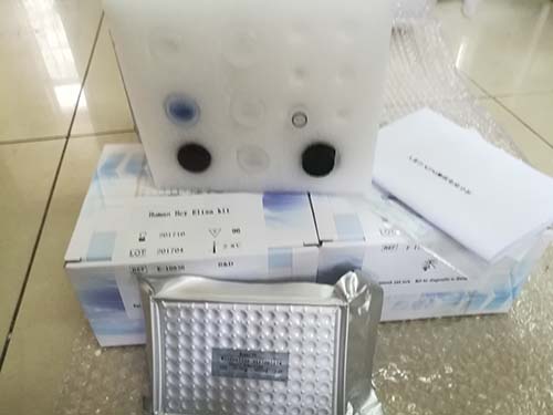 人垂草扁桃酸(VMA) ELISA试剂盒