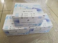 Western转移缓冲粉剂