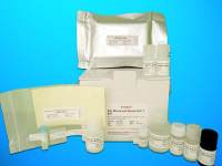 Citrate Synthase ELISA Kit (CS), Human