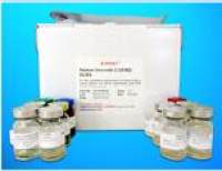 cAMP-dependent protein kinase catalytic subunit gamma (PRKACG) ELISA Kit, Human