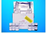 Carnitine-acylcarnitine translocase, CACT ELISA Kit (SLC25A20), Human