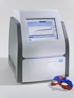 实时荧光定量QPCR