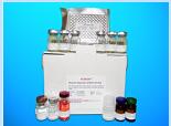 Complement C1q tumor necrosis factor-related protein 9A (C1QTNF9) ELISA Kit, Human