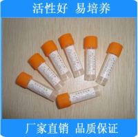 绿脓假单胞菌[CMCC(B)10104][铜绿假单胞菌][CMCC原装0代菌株]