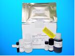 Cytochrome P450 2B1 ELISA Kit (CYP2B1), Human