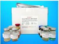 Cytosolic Fe-S cluster assembly factor NARFL (NARFL) ELISA Kit, Human