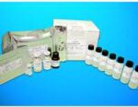 Cytochrome P450 2C19 (CYP2C19) ELISA Kit, Human