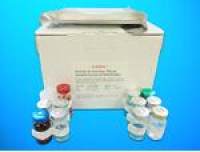 Cytochrome b561 domain-containing protein 1 (CYB561D1) ELISA Kit, Human