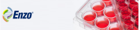 ENZO大量现货