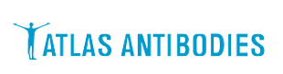 Atlas antibodies大量现货