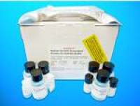 Cytosolic endo-beta-N-acetylglucosaminidase (ENGASE) ELISA Kit, Human