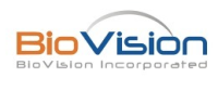 BioVision大量现货