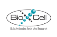 BioXcell大量现货
