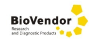 Biovendor大量现货