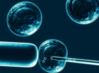 CRC（条件性重编程细胞）