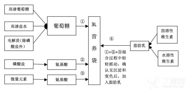 肠外营养.png