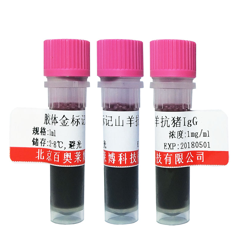 ZN1979型碱性磷酸酶标记山羊抗人IgG(H+L)优惠价