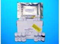 Folic acid (FA) ELISA Kit, Human