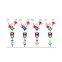 DELFIA 时间分辨荧光检测试剂