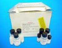 Hepatic lipase ELISA Kit (HL), Human