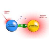 高通量药物筛选试剂