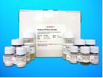 G liver IgD Antibody ELISA Kit, Human