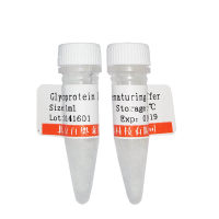 北京现货重组人DKK-1(Dickkopf相关蛋白1)销售