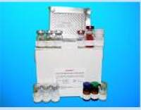 Insulin Like Growth Factor Binding Protein 6 (IGFBP6) ELISA Kit, Human