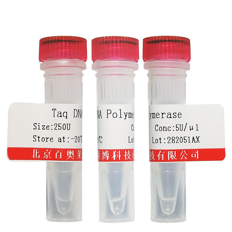 TGF-β抑制剂(A83-01) 抑制剂激活剂