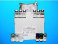 Lipoarabinomannan ELISA Kit (LAM), Human