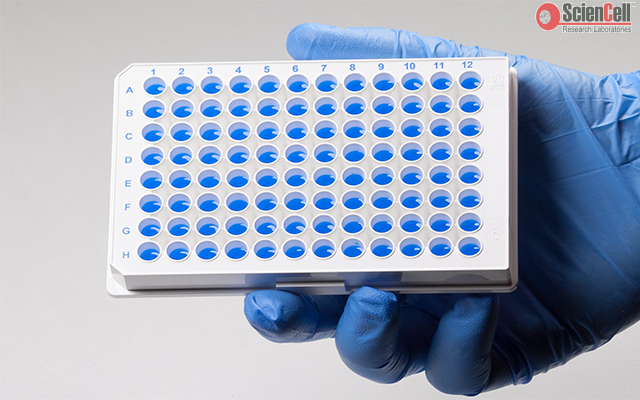 人丙型肝炎定量PCR芯片试剂盒