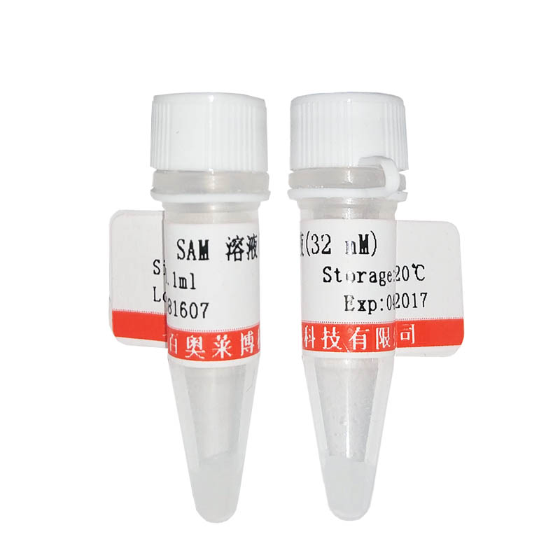 北京现货重组土拨鼠细胞毒性T淋巴细胞蛋白4(CTLA-4)(国产,进口)