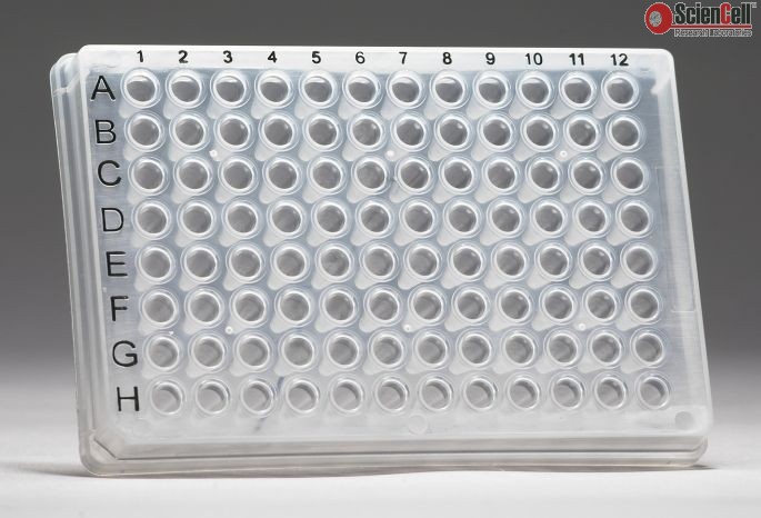 人多能干细胞定量PCR芯片试剂盒