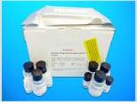 Lysolecithin ELISA Kit, Human