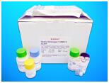 Malic Enzyme ELISA Kit, Human