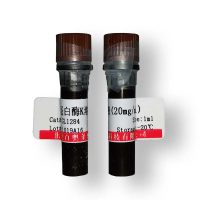 质子泵抑制剂(Omeprazole) 抑制剂激活剂