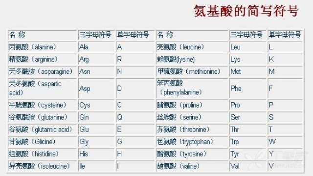 的数字是指突变氨基酸在基因中的位置,数字前后的字母是氨基酸简称