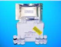 Nuclear receptor coactivator 1 (NCOA1) ELISA Kit, Human