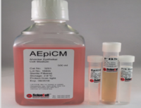 肺泡上皮细胞培养基