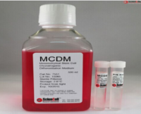 间充质干细胞-软骨分化培养基