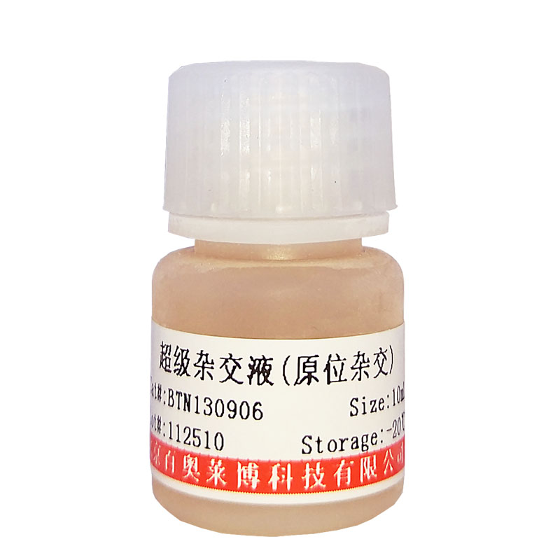 D-2受体激动剂(rac-Rotigotine)说明书